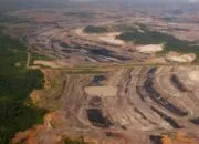 Dampak dan Restorasi Lahan Pasca Tambang terhadap Ekosistem