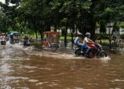 Literasi Iklim Masih Rendah: Peran BMKG dan Masyarakat dalam Menghadapi Cuaca Ekstrem