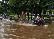 Literasi Iklim Masih Rendah: Peran BMKG dan Masyarakat dalam Menghadapi Cuaca Ekstrem