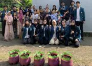 KKN-T IDBU 45 UNDIP Dorong Ketahanan Pangan Komunitas lewat Penanaman Terong di Lahan Terbatas