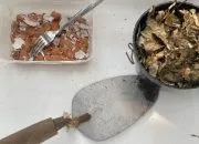 Inovasi Hijau, Pemanfaatan Limbah Daun Ecoprint dan Cangkang Telur untuk Media Tanam Aglonema di Flora Asri Pudakpayung