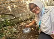 Solusi Sederhana Cegah Banjir, Mahasiswa KKN-T Tim 37 UNDIP Kelompok 2 Ajak Warga Manfaatkan Botol Bekas jadi Lubang Biopori