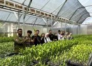 Petani Lokal Muntilan Sukses Kembangkan Budidaya Anggrek Bernilai Ekonomi Tinggi