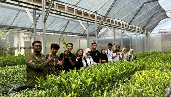 Petani Lokal Muntilan Sukses Kembangkan Budidaya Anggrek Bernilai Ekonomi Tinggi