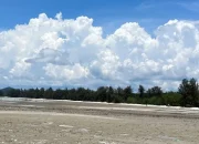 Pasir vs Batu: Menguak Rahasia Adaptasi Ekstrem Biota Laut di Pantai Tanjung Bunga