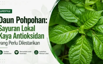 Daun Pohpohan: Sayuran Lokal Kaya Antioksidan yang Perlu Dilestarikan