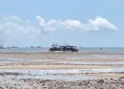 Sampah vs Biota: Potret Ambang Batas Daya Dukung Ekosistem di Pesisir Pantai Perpat, Pangkalpinang