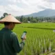 Pertanian Indonesia di Tengah Perkembangan Teknologi Modern