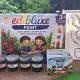 Berawal dari Kekhawatiran akan Keamanan Anak, Dua Pelajar MAN 1 Lamongan Kembangkan Edibluxe Paint