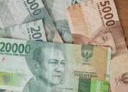 Ketika Rupiah Melemah, Siapa yang Sesungguhnya Membayar Harganya di Ladang dan Kandang?