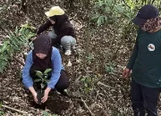 Dari Lereng Gunung Prau untuk Masa Depan, KKN MAHESA UPGRIS 2026 Menggerakkan Penanaman Kopi di Desa Kediten