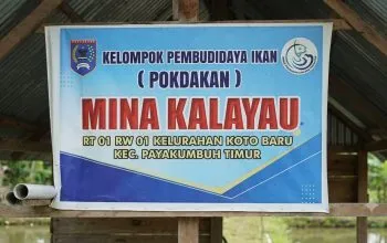 Strategi Keberlanjutan POKDAKAN Mina Kalayau: Analisis Teori Organisasi dan Lingkungan Eksternal di Payakumbuh Timur Perspektif Administrasi Publik dalam Pemberdayaan Ekonomi Masyarakat Berbasis Komunitas