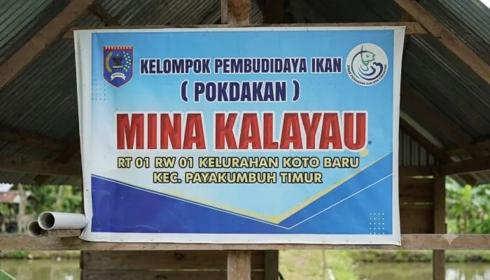 Strategi Keberlanjutan POKDAKAN Mina Kalayau: Analisis Teori Organisasi dan Lingkungan Eksternal di Payakumbuh Timur Perspektif Administrasi Publik dalam Pemberdayaan Ekonomi Masyarakat Berbasis Komunitas