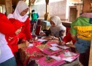 Dokumentasi Kegiatan Pendampingan Posyandu
