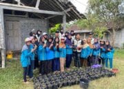 Dari Limbah Ternak Jadi Pupuk, Mahasiswa KKN UMBY Kelompok 102 Mengajak KWT Dusun Candi Budidaya Pakcoy