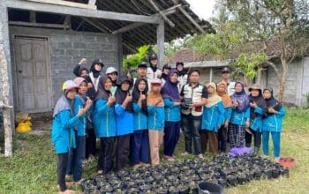 Dari Limbah Ternak Jadi Pupuk, Mahasiswa KKN UMBY Kelompok 102 Mengajak KWT Dusun Candi Budidaya Pakcoy