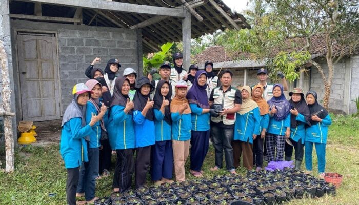 Dari Limbah Ternak Jadi Pupuk, Mahasiswa KKN UMBY Kelompok 102 Mengajak KWT Dusun Candi Budidaya Pakcoy