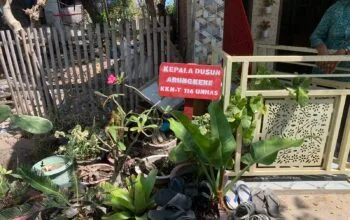 KKN-T 116 Unhas Dorong Penataan Informasi Desa melalui Papan Penanda Tokoh Masyarakat